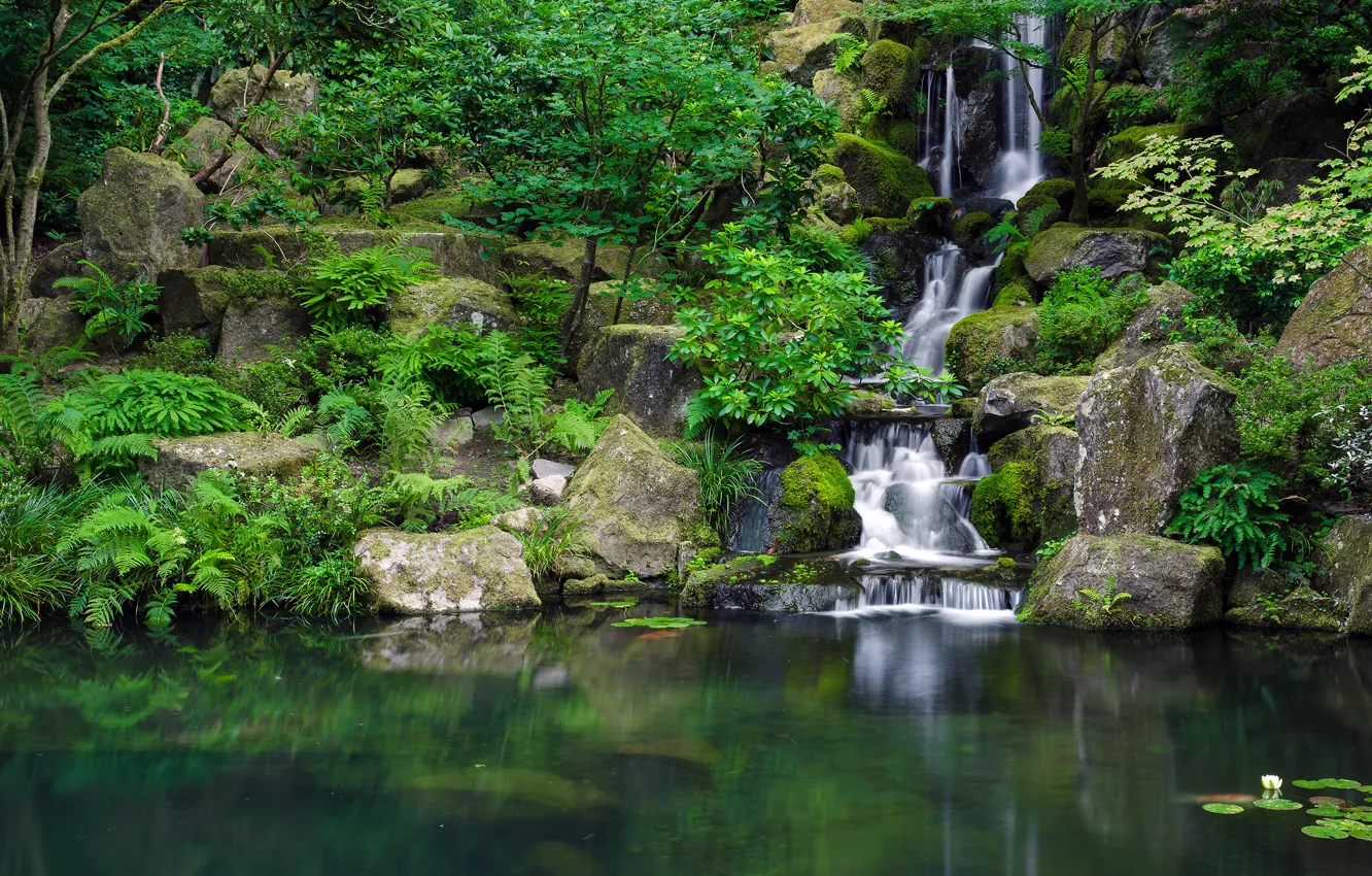 Photo wallpaper Park, stones, waterfall, pond, Japanese Garden