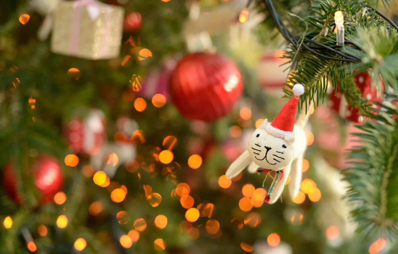 Photo wallpaper cat, white, cat, decoration, red, lights, kitty, holiday