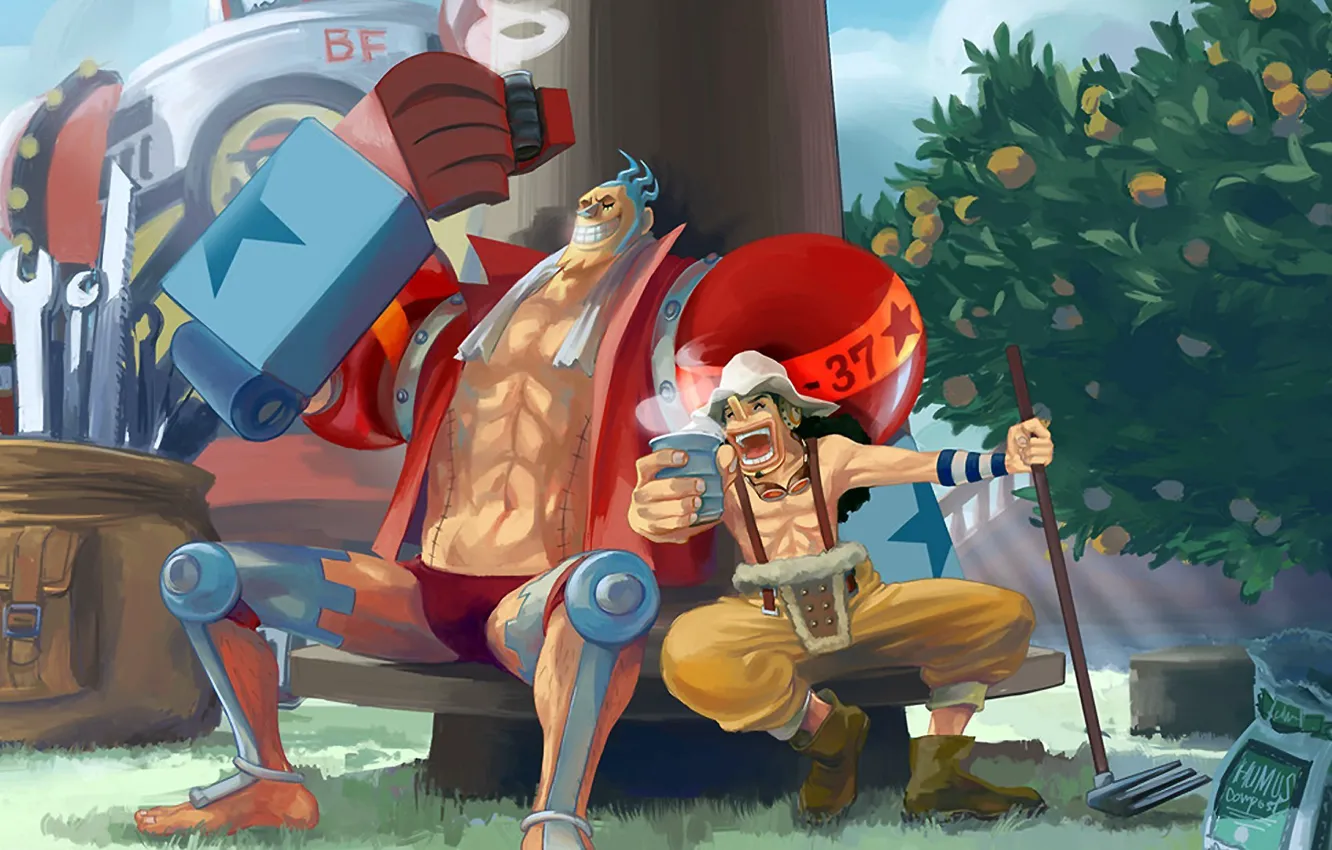 Photo wallpaper logo, grass, game, robot, One Piece, pirate, anime, orange