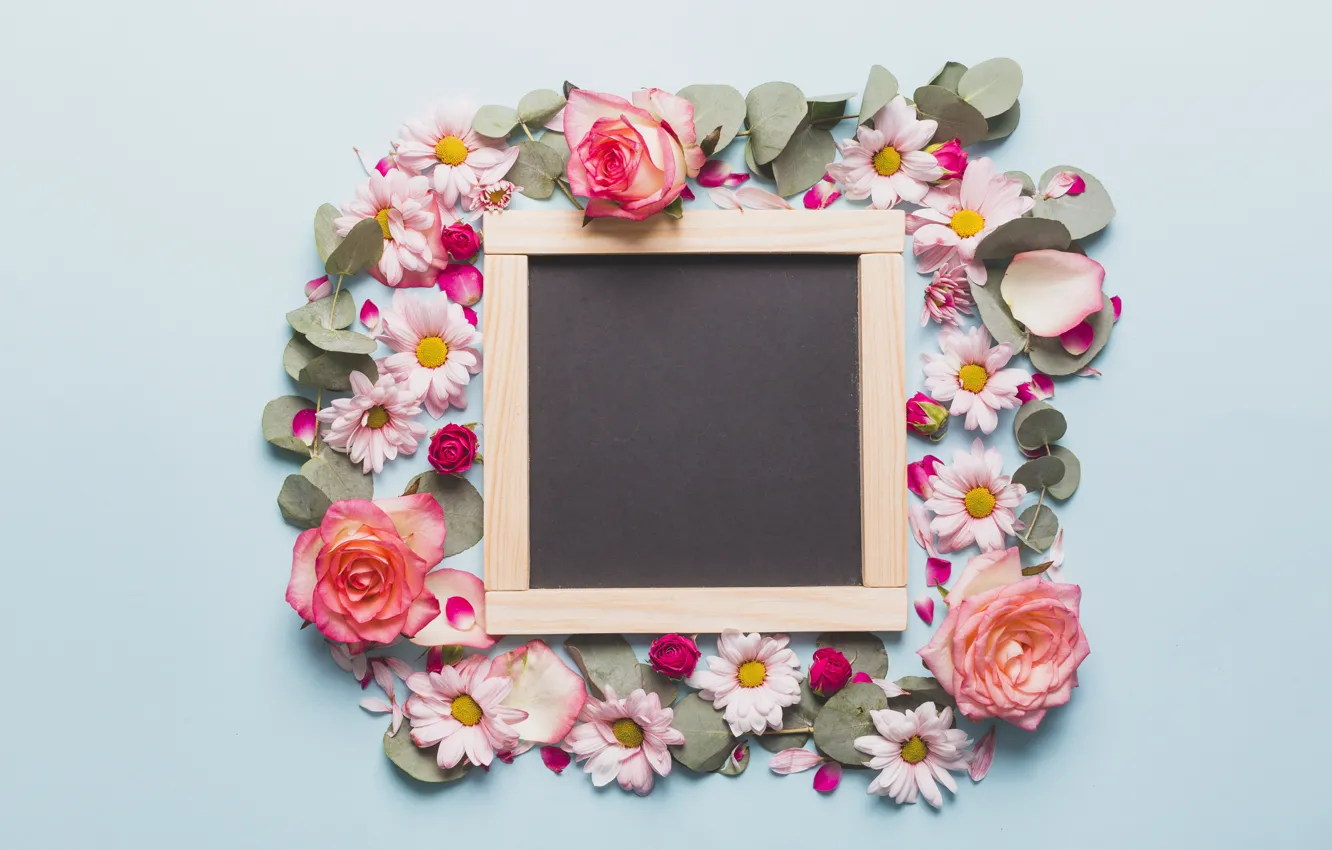 Photo wallpaper Flowers, Roses, Board, Chrysanthemum