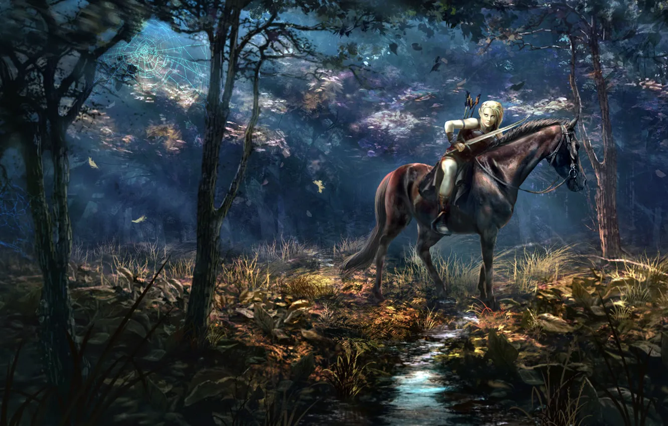 Photo wallpaper forest, horse, rider, art, Andrii Shafetov