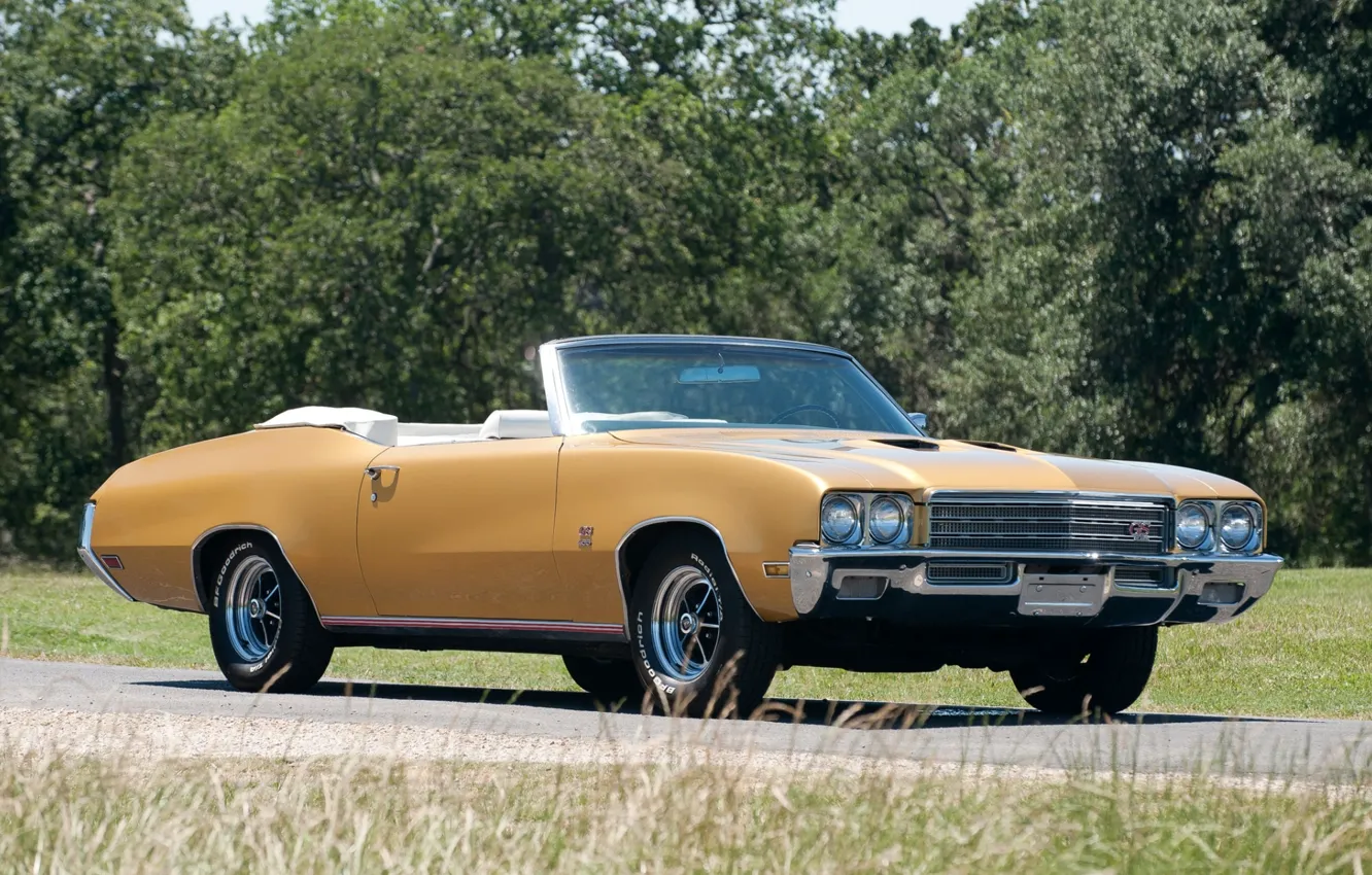 Photo wallpaper road, grass, trees, Buick, 1971, convertible, the front, Muscle car