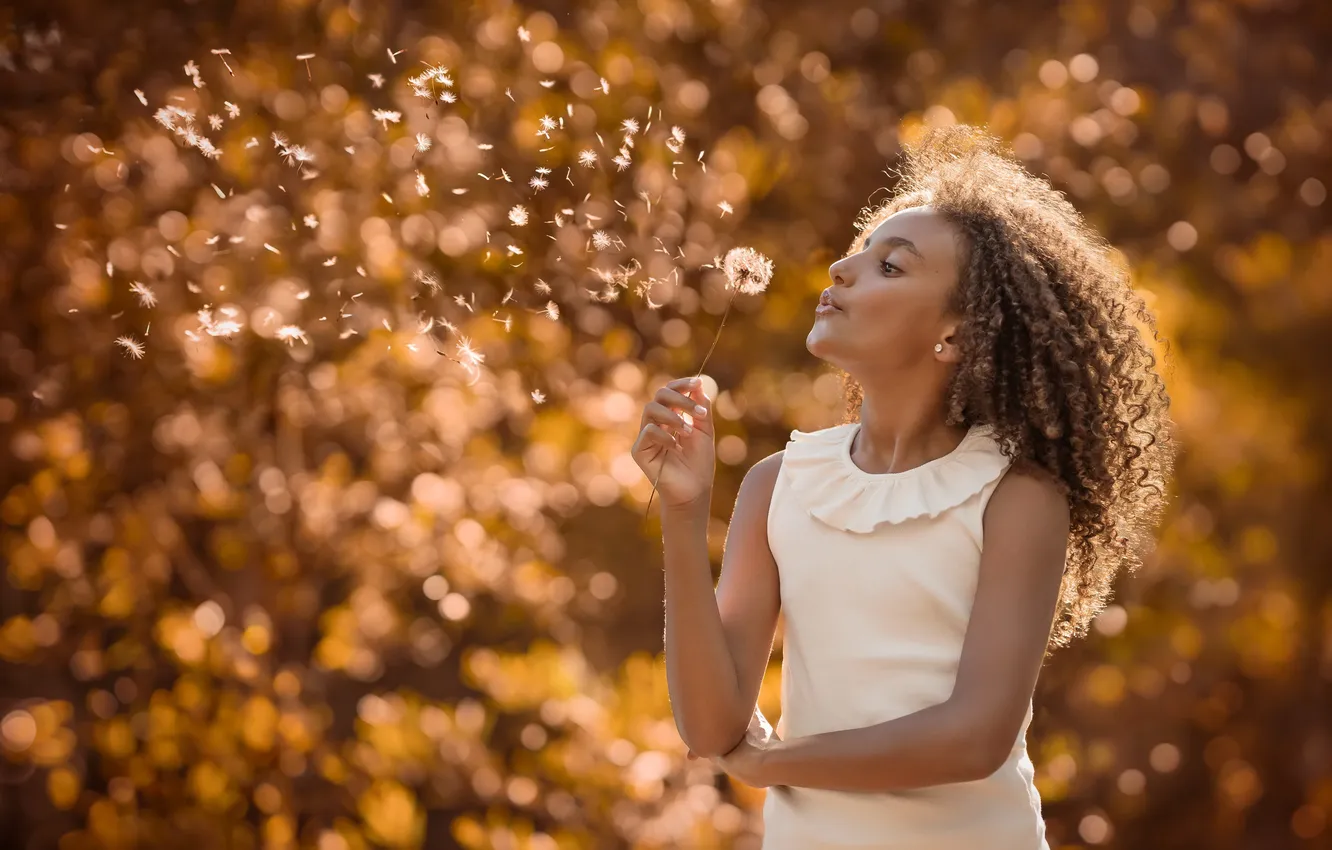 Photo wallpaper girl, background, dandelion
