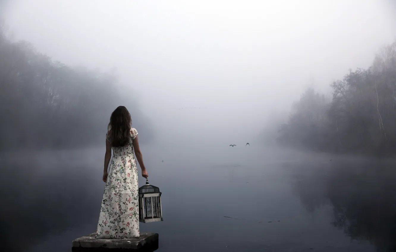 Photo wallpaper girl, fog, lake