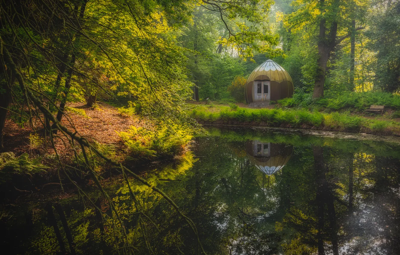 Photo wallpaper greens, forest, summer, lake, pond, Park, reflection, shore