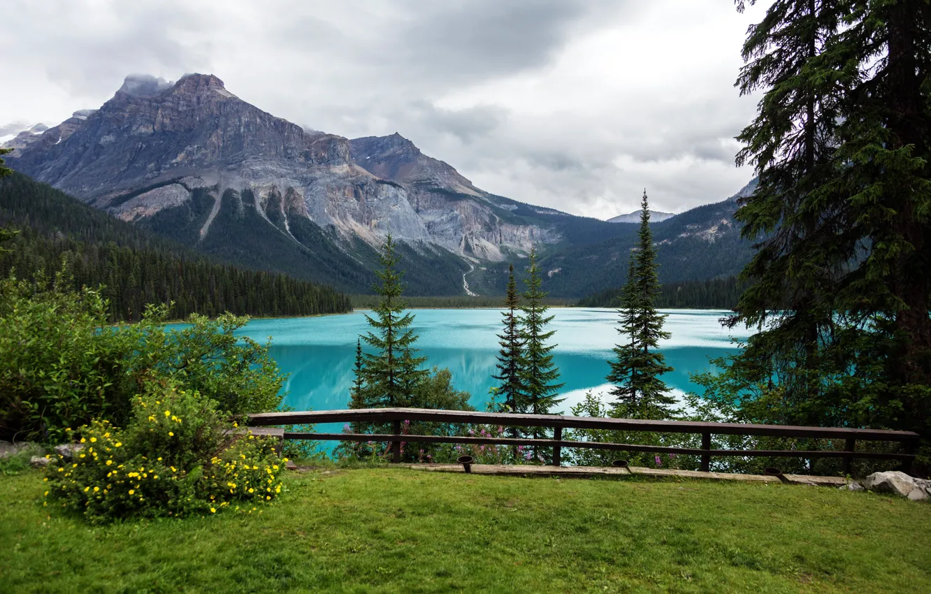 Photo wallpaper trees, mountains, lake, view, Canada, Playground, Yoho National Park