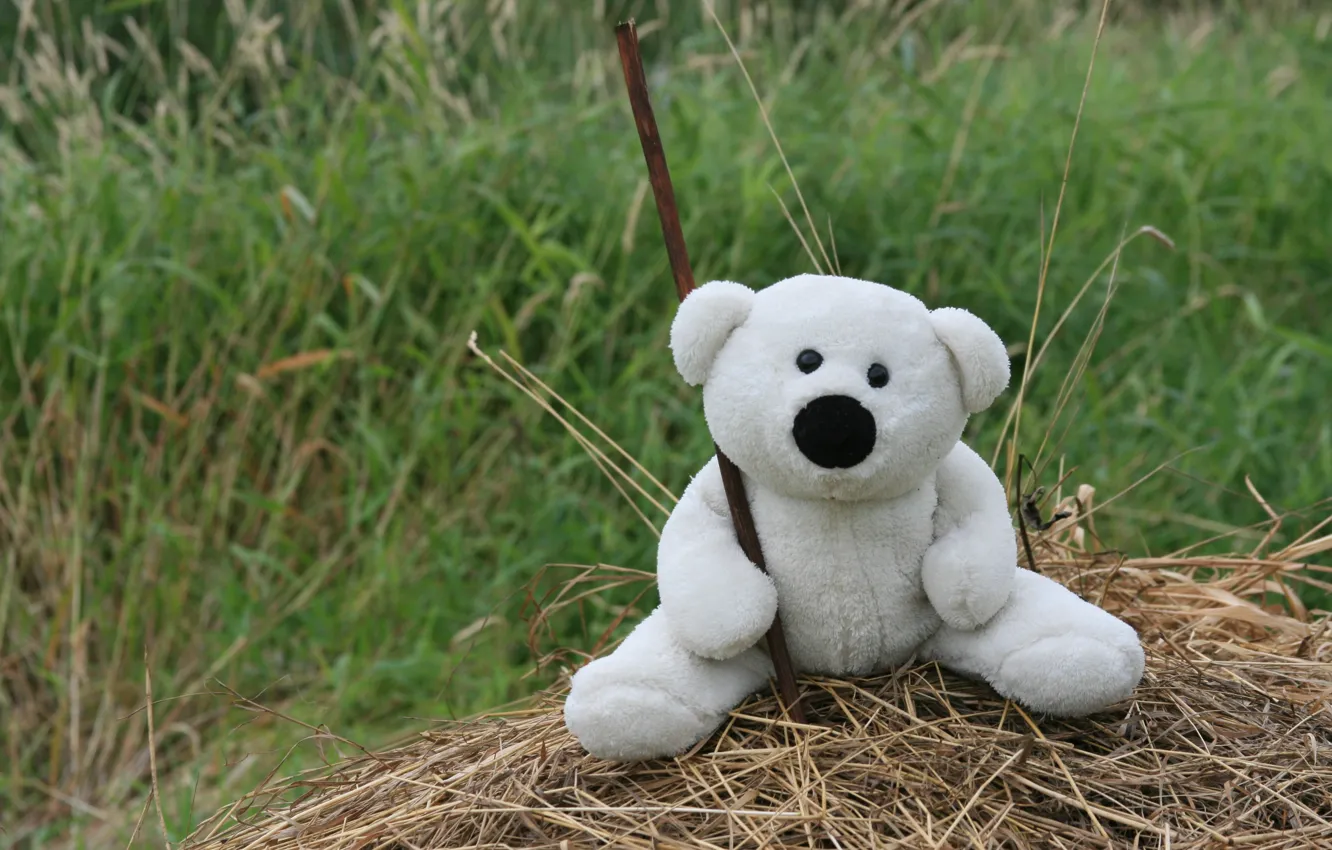 Photo wallpaper grass, mood, toy, White, bear, hay, walk