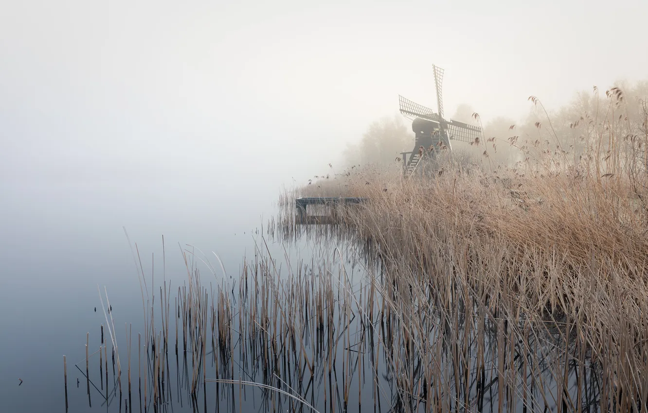 Photo wallpaper winter, fog, lake