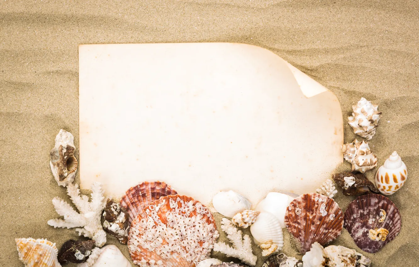 Photo wallpaper sand, beach, nature, shell, Mare