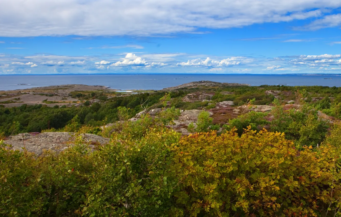 Photo wallpaper landscape, nature, horizon, Sweden, the bushes, Gotaland, Vastra