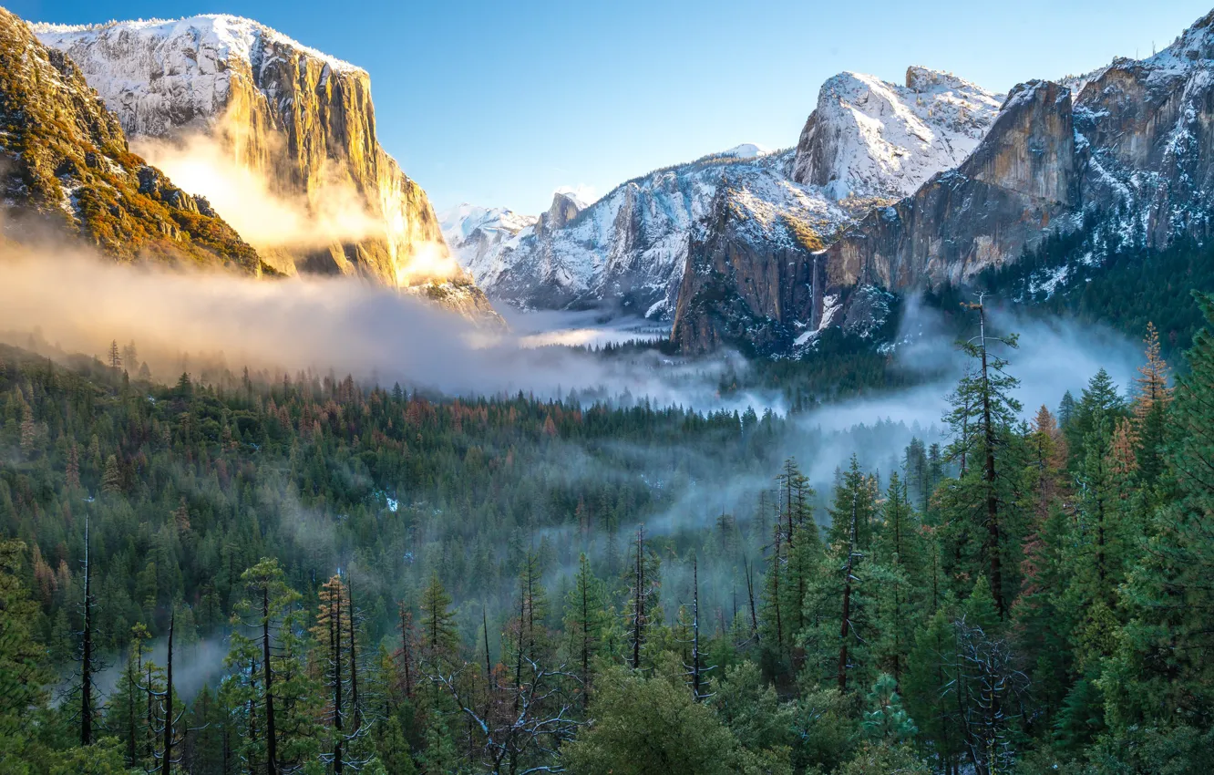 Photo wallpaper winter, snow, trees, mountains, nature, fog