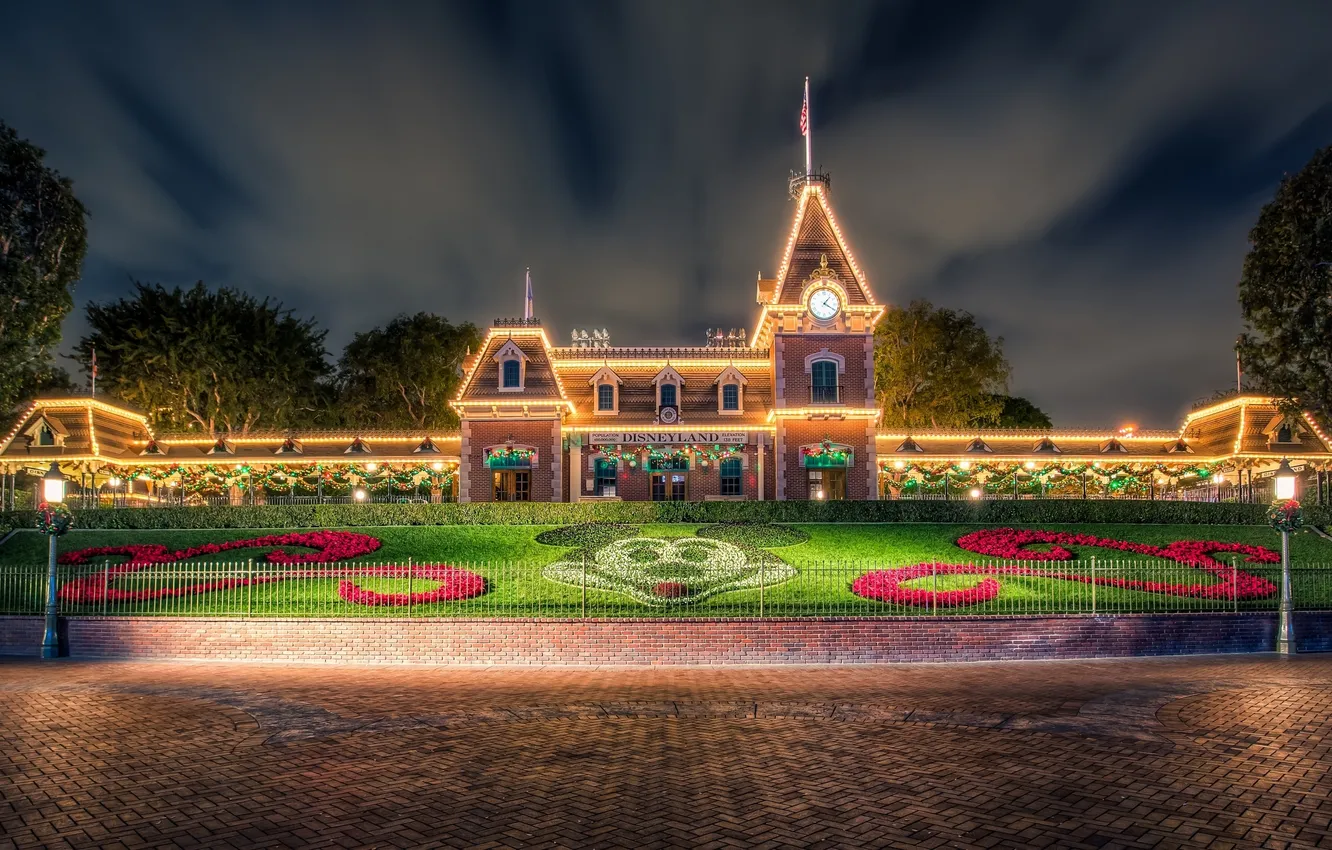 Photo wallpaper flowers, CA, Disneyland, flowerbed, California, Disneyland, Mickey Mouse, Mickey Mouse