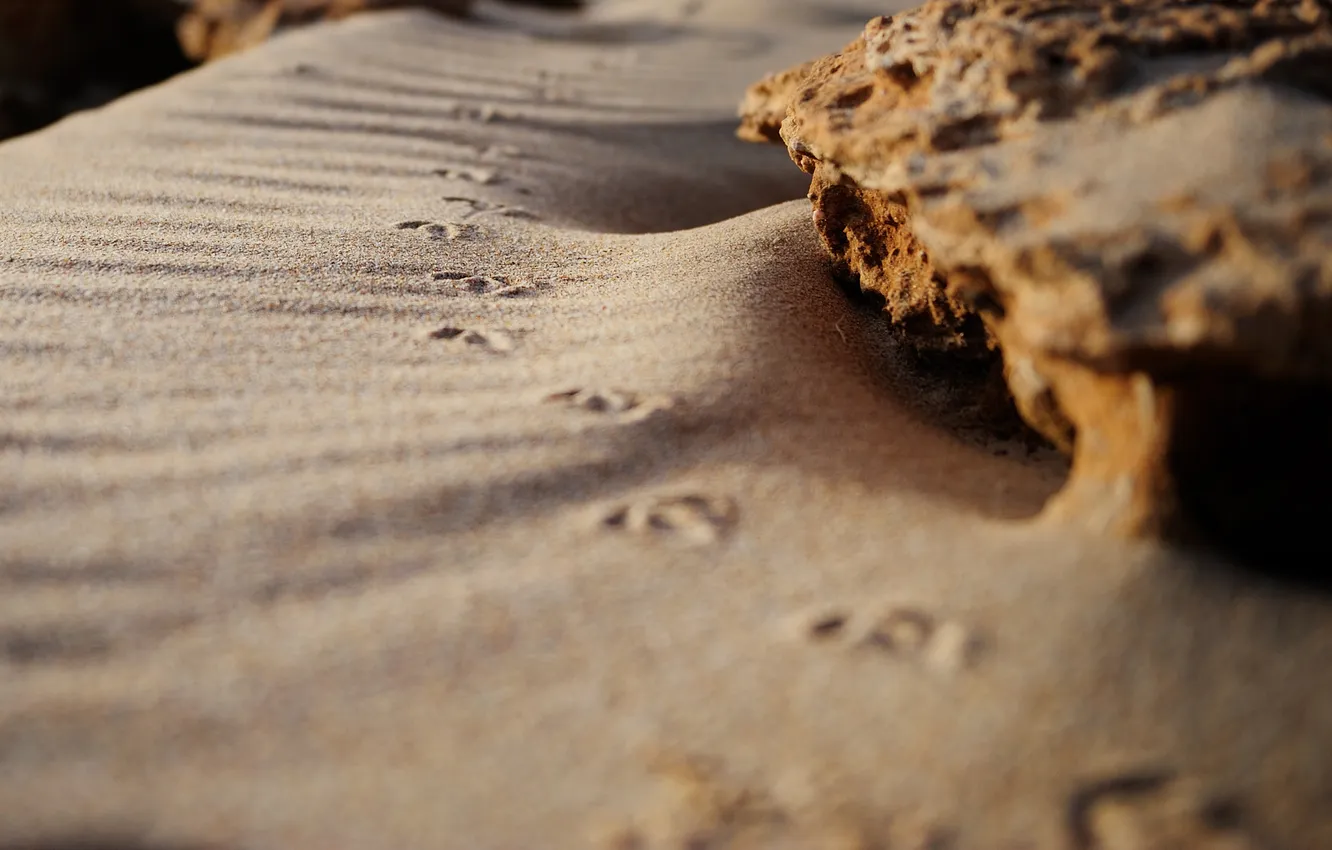 Photo wallpaper sand, macro, traces, stones, shore, coast, stone, beaches