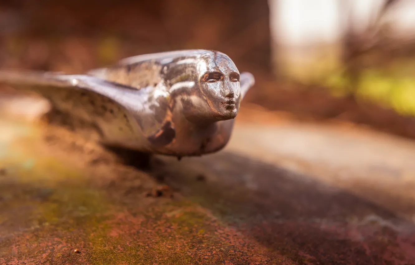 Photo wallpaper machine, background, sign