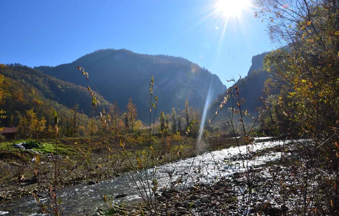Photo wallpaper river, animals, nature, water, mountains, doga