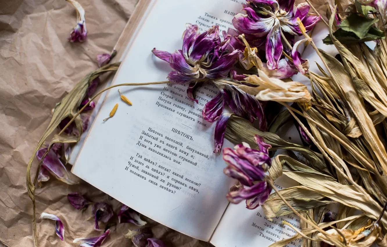 Photo wallpaper flowers, tulips, book, poems