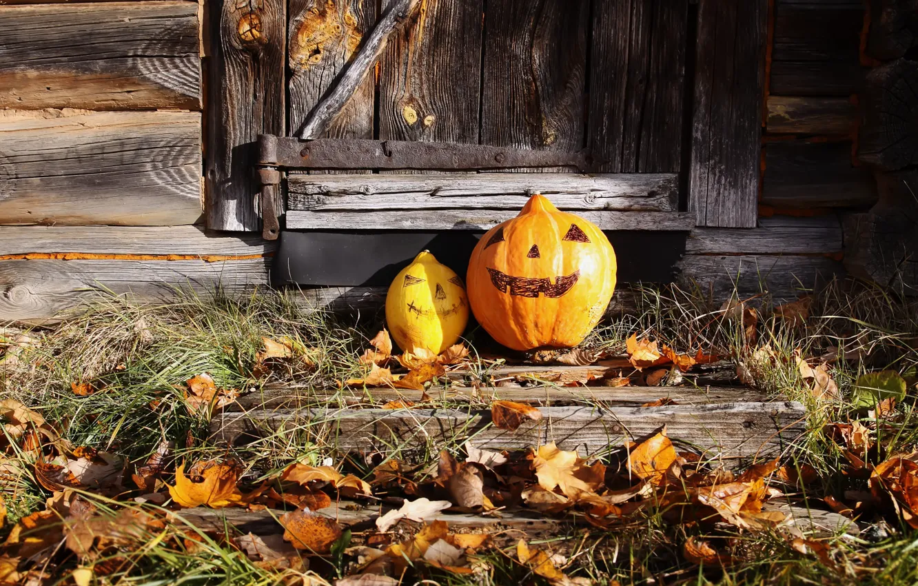 Photo wallpaper grass, pumpkin, Halloween, Halloween, faces