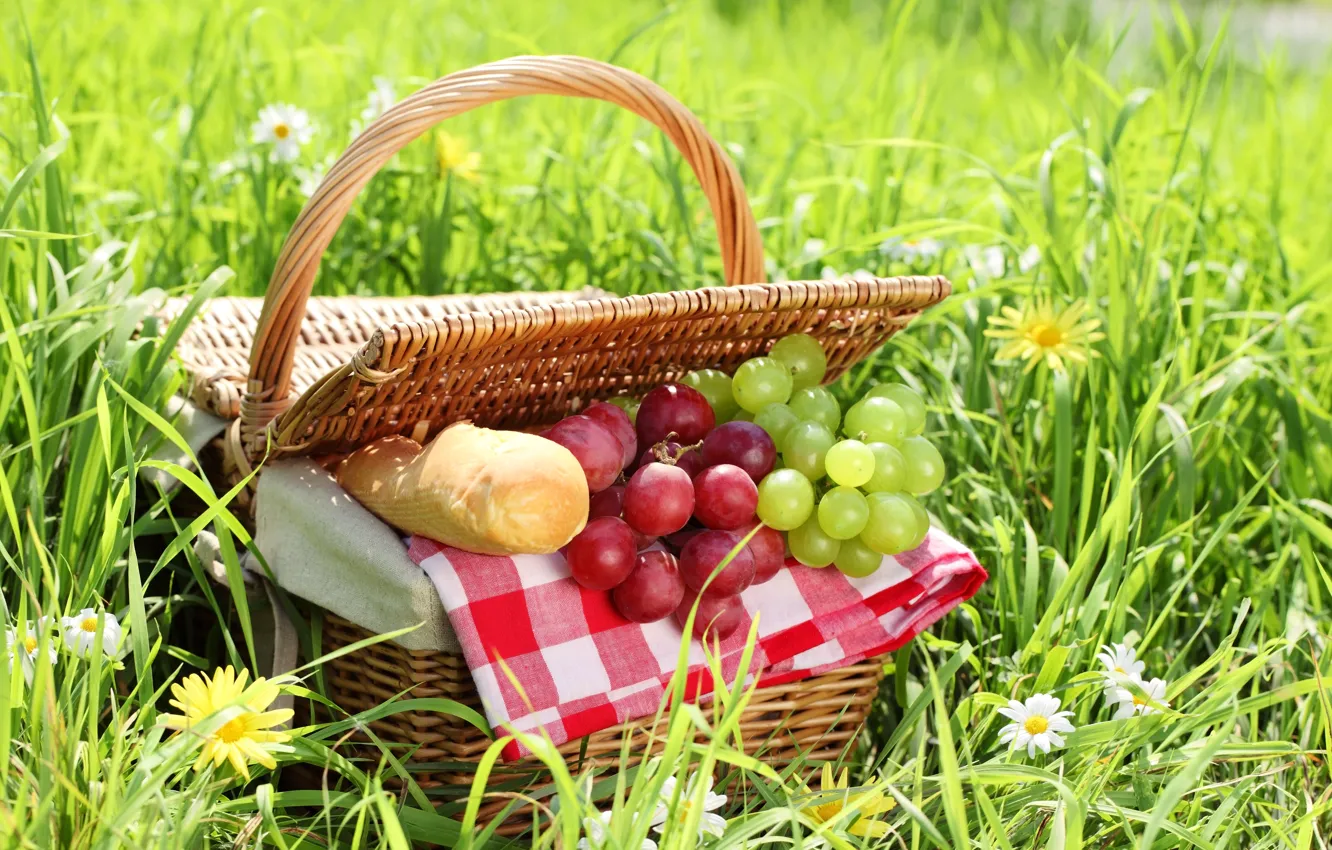 Photo wallpaper summer, grass, basket, chamomile, bread, grapes, picnic, baton