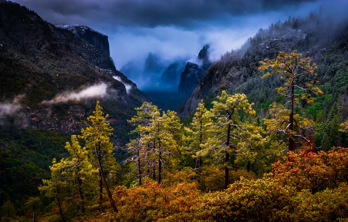 Photo wallpaper trees, mountains, CA, California, Yosemite national Park, Yosemite National Park, Sierra Nevada, Sierra Nevada