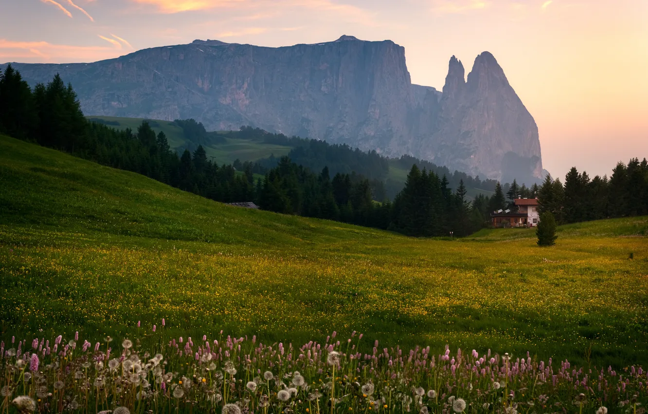 Photo wallpaper field, flowers, mountains, Alps, house