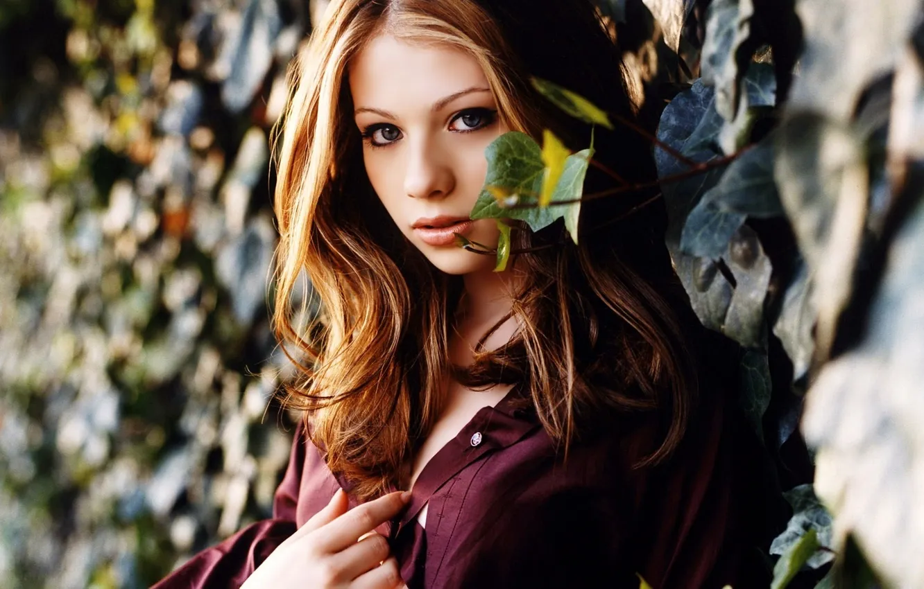 Photo wallpaper forest, girl, Wallpaper, red