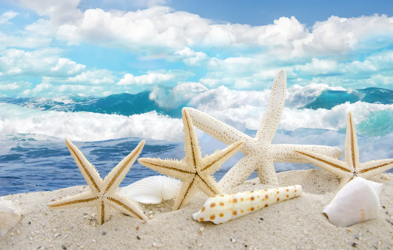 Photo wallpaper sea, wave, the sky, clouds, coast, shell, starfish