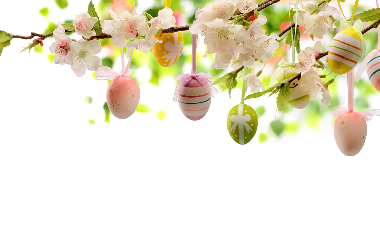 Photo wallpaper flowers, eggs, Easter, flowers, Easter, eggs