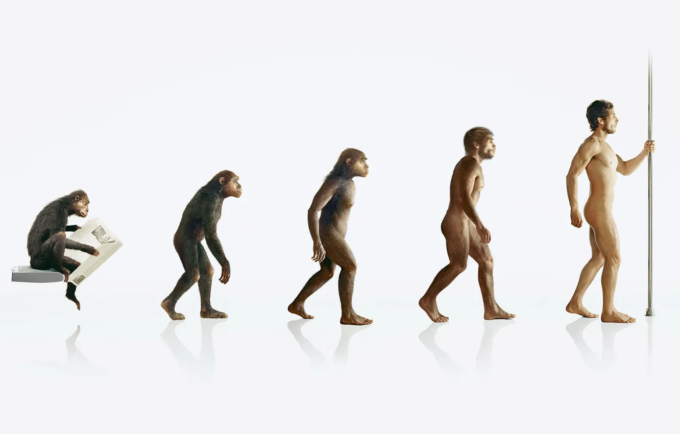 Photo wallpaper people, monkey, evolution