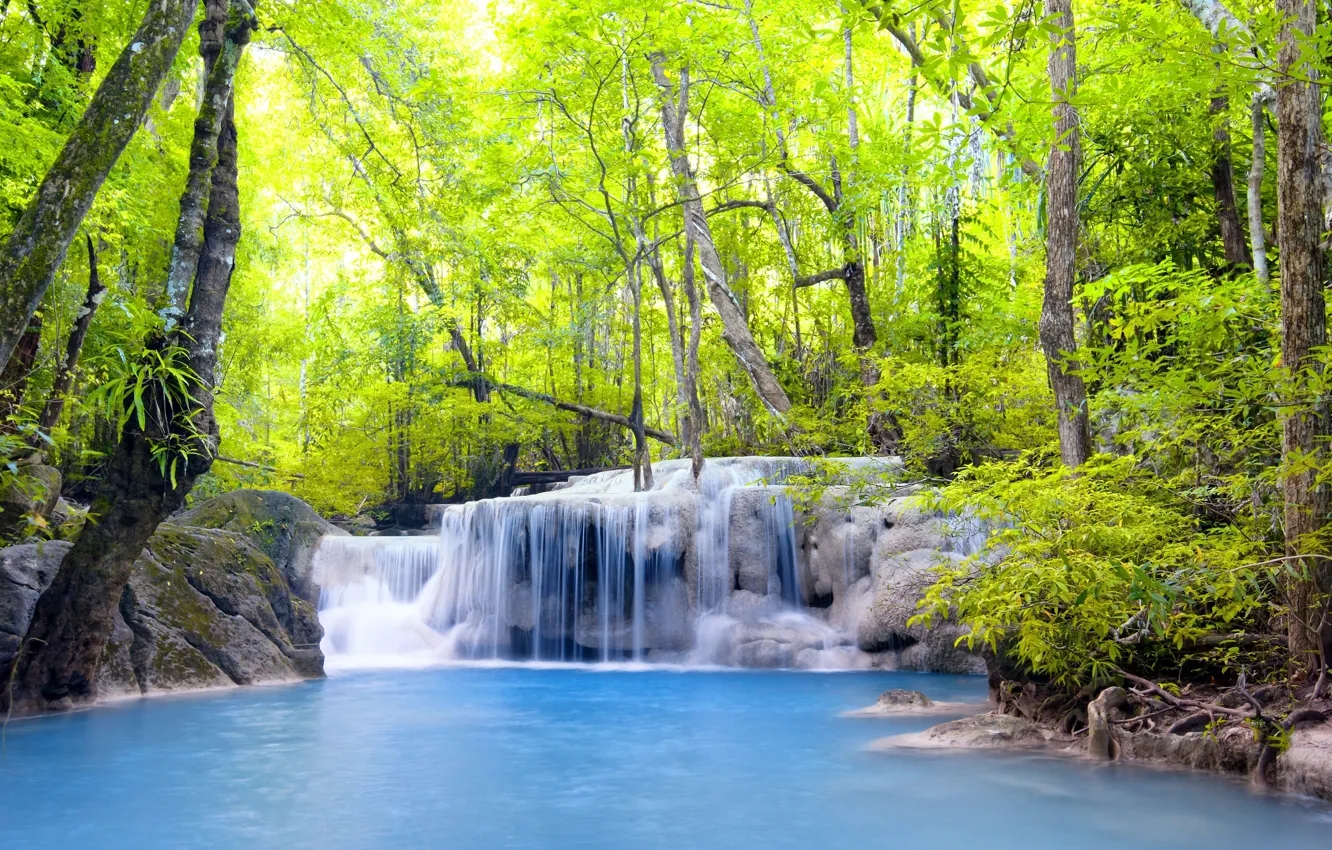 Photo wallpaper forest, trees, lake, waterfall