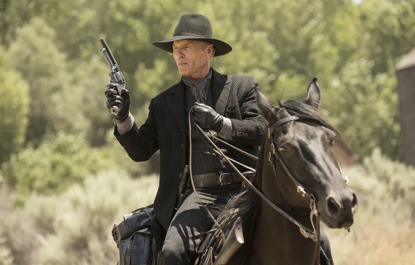 Photo wallpaper weapons, horse, frame, hat, gloves, the series, cowboy, revolver