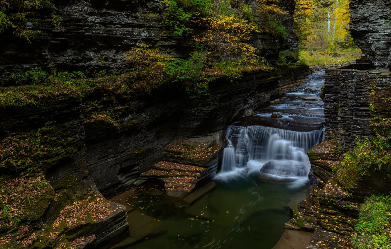 Photo wallpaper autumn, forest, rocks, shore, foliage, waterfall, falling leaves, cascade