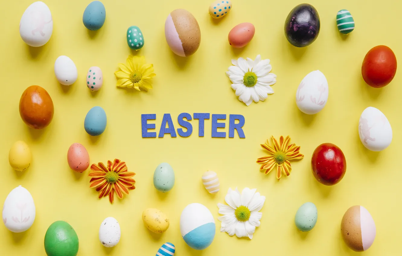 Photo wallpaper eggs, spring, Easter, chrysanthemum
