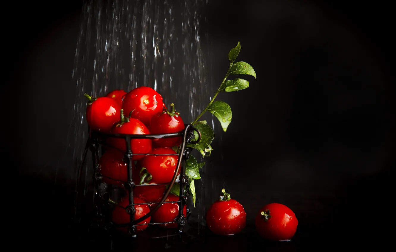 Photo wallpaper water, vegetables, tomatoes