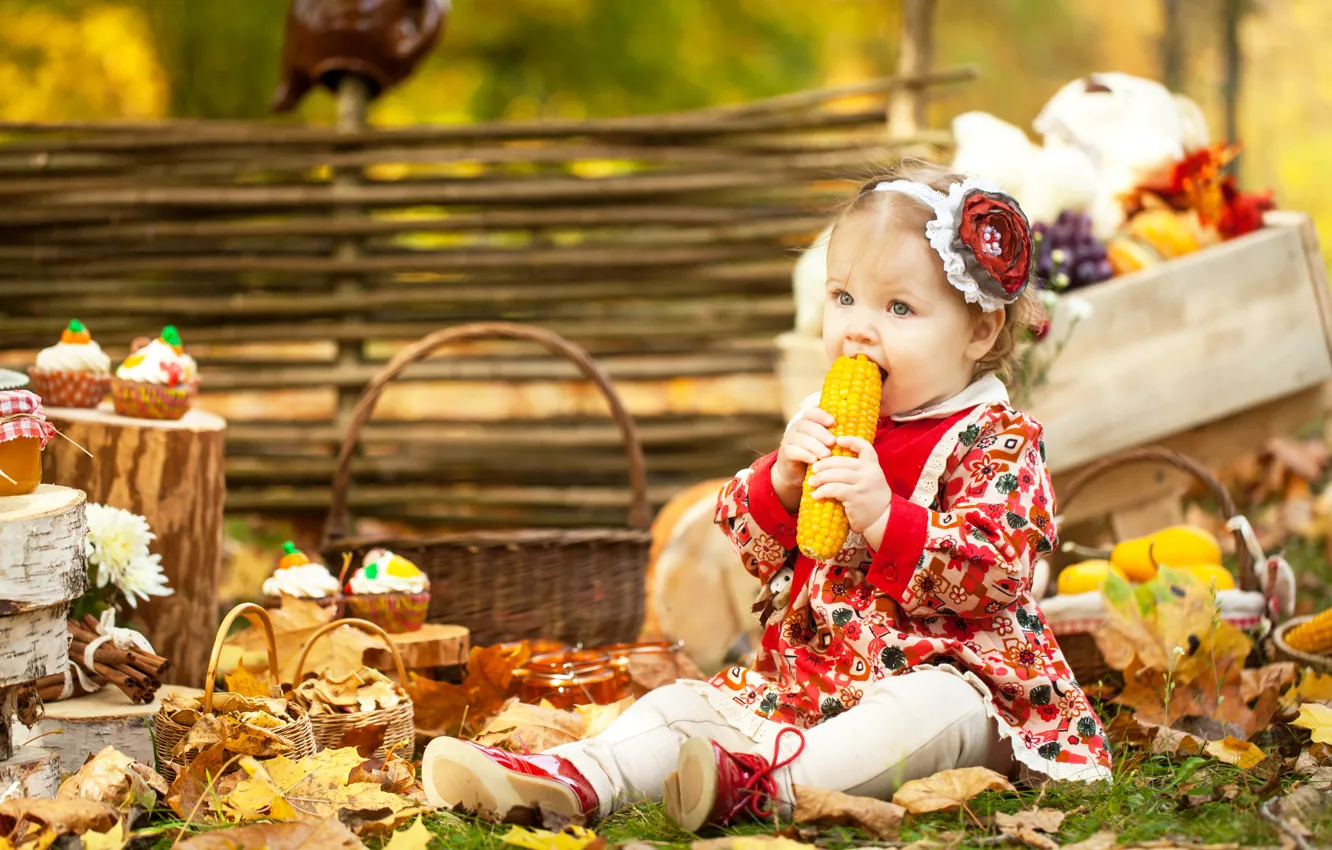 Photo wallpaper autumn, leaves, basket, corn, dress, girl, girl, little