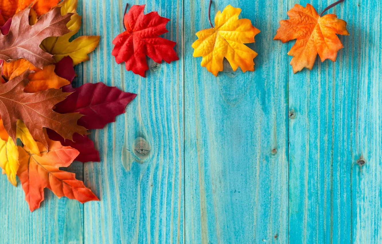 Photo wallpaper autumn, leaves, tree, maple