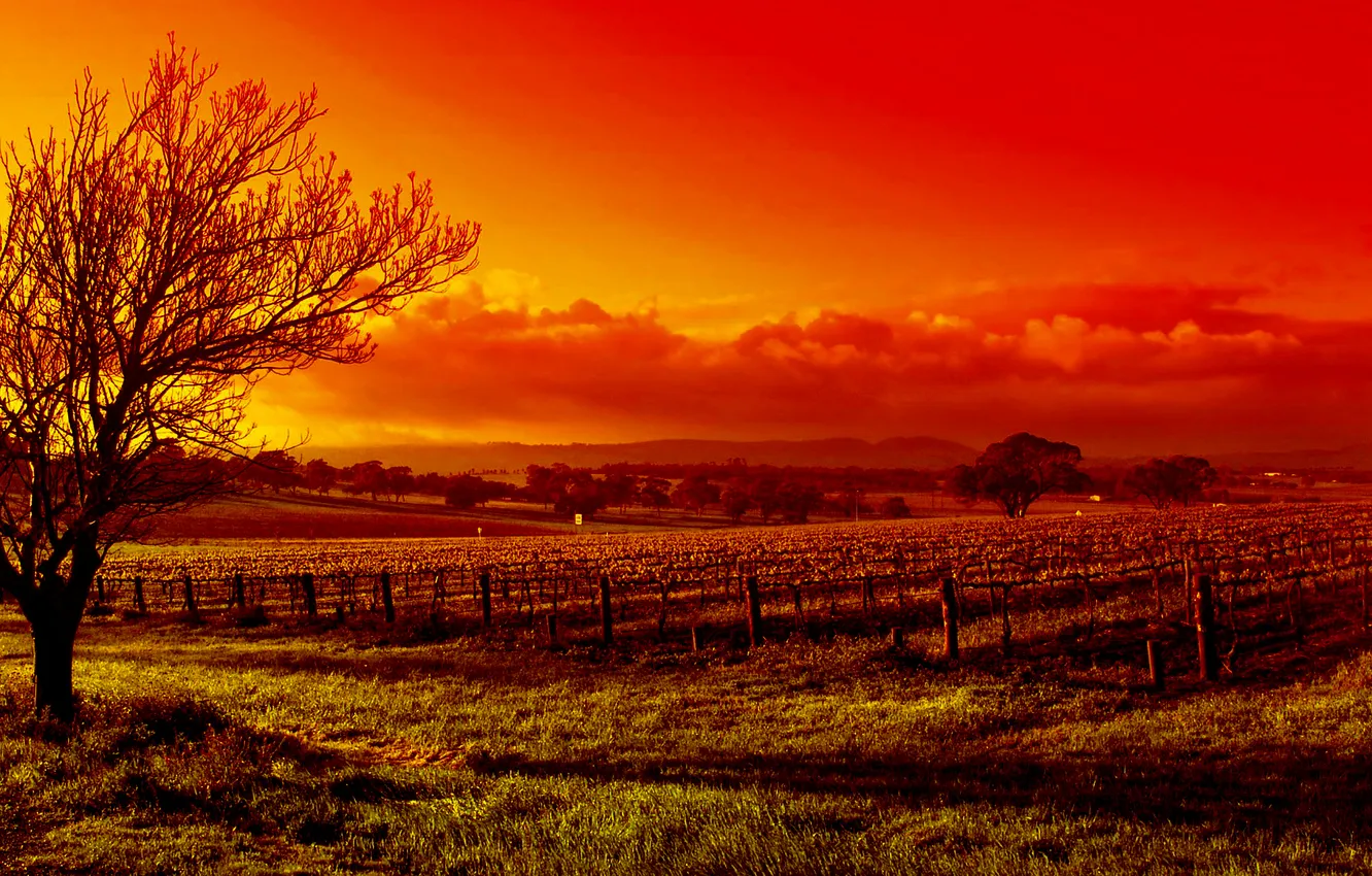 Photo wallpaper landscape, nature, photo, beauty