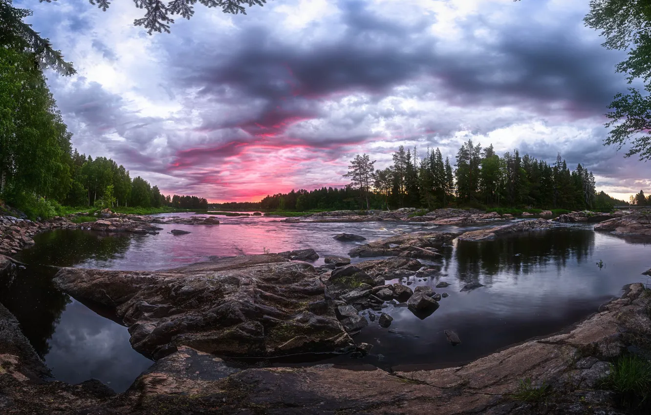 Photo wallpaper forest, summer, river, Finland