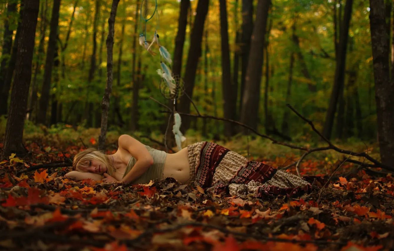 Photo wallpaper forest, leaves, forest, leaves, sleeping, bedroom