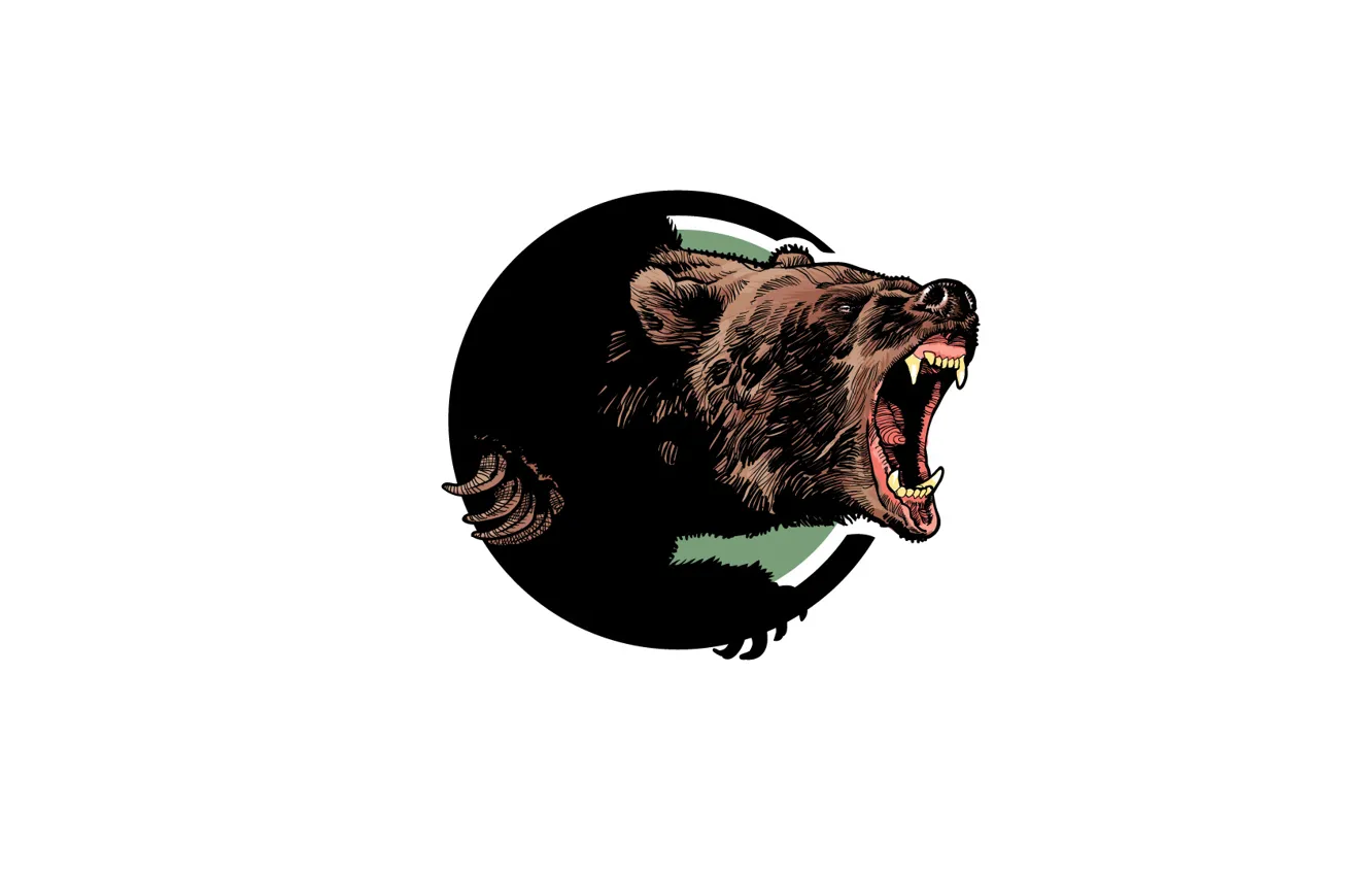Photo wallpaper face, bear, mouth, fangs, roar