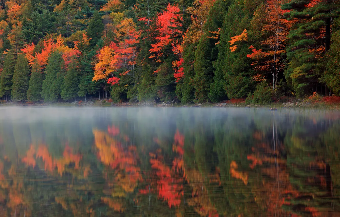 Photo wallpaper autumn, forest, nature, fog, reflection, river