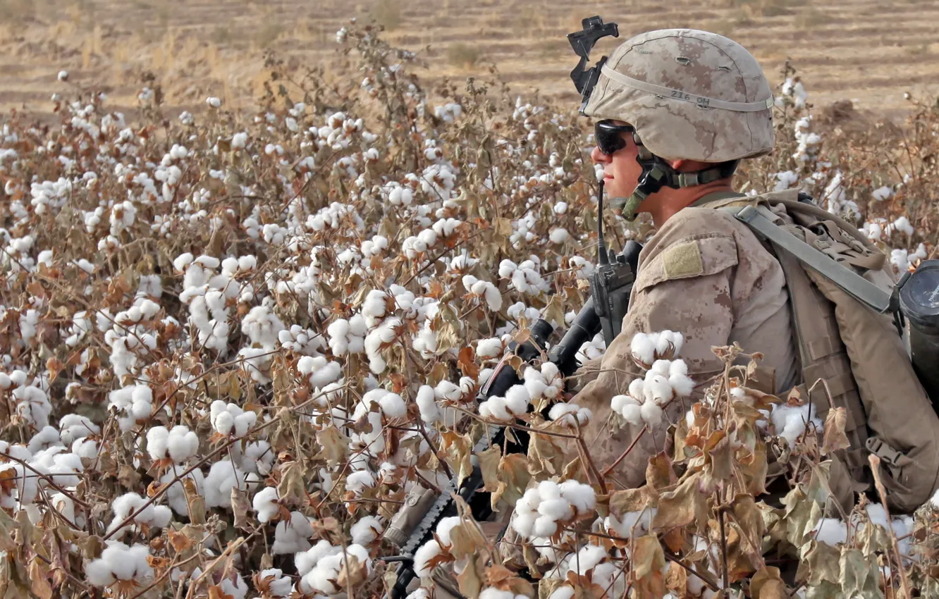 Photo wallpaper field, weapons, soldiers