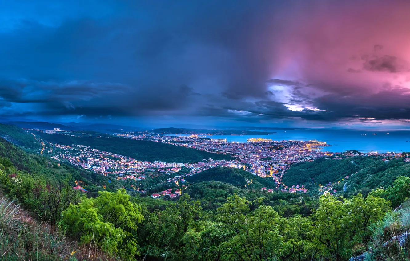 Photo wallpaper city, lights, sky, trees, sea, landscape, Italy, coast