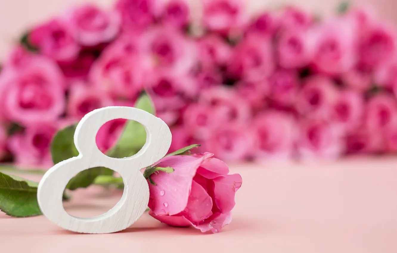 Photo wallpaper flowers, roses, figure, happy, March 8, pink, flowers, spring