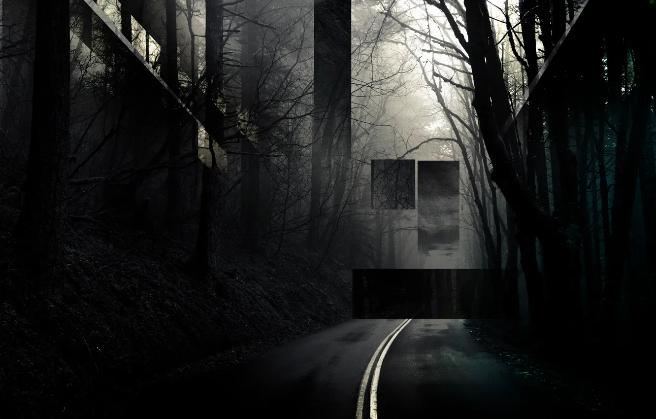 Photo wallpaper green, dark, forest, road, ultra, awesome, Best, cool