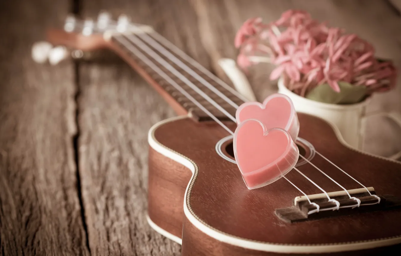 Photo wallpaper flowers, heart, guitar, love, vintage, heart, romantic