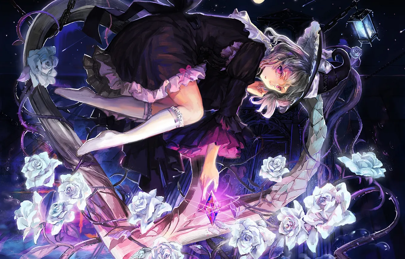 Photo wallpaper girl, stars, flowers, night, heart, roses, a month, hat