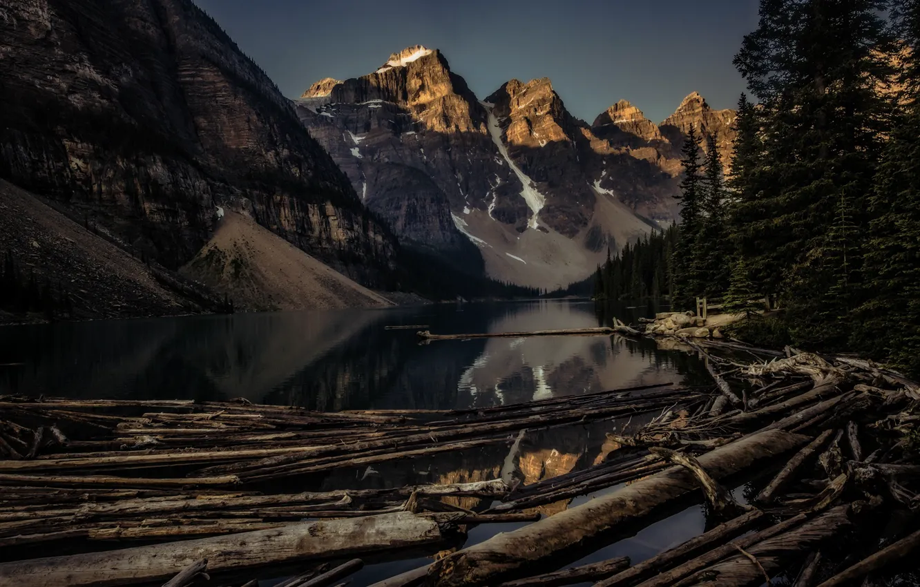 Photo wallpaper forest, mountains, log, pond