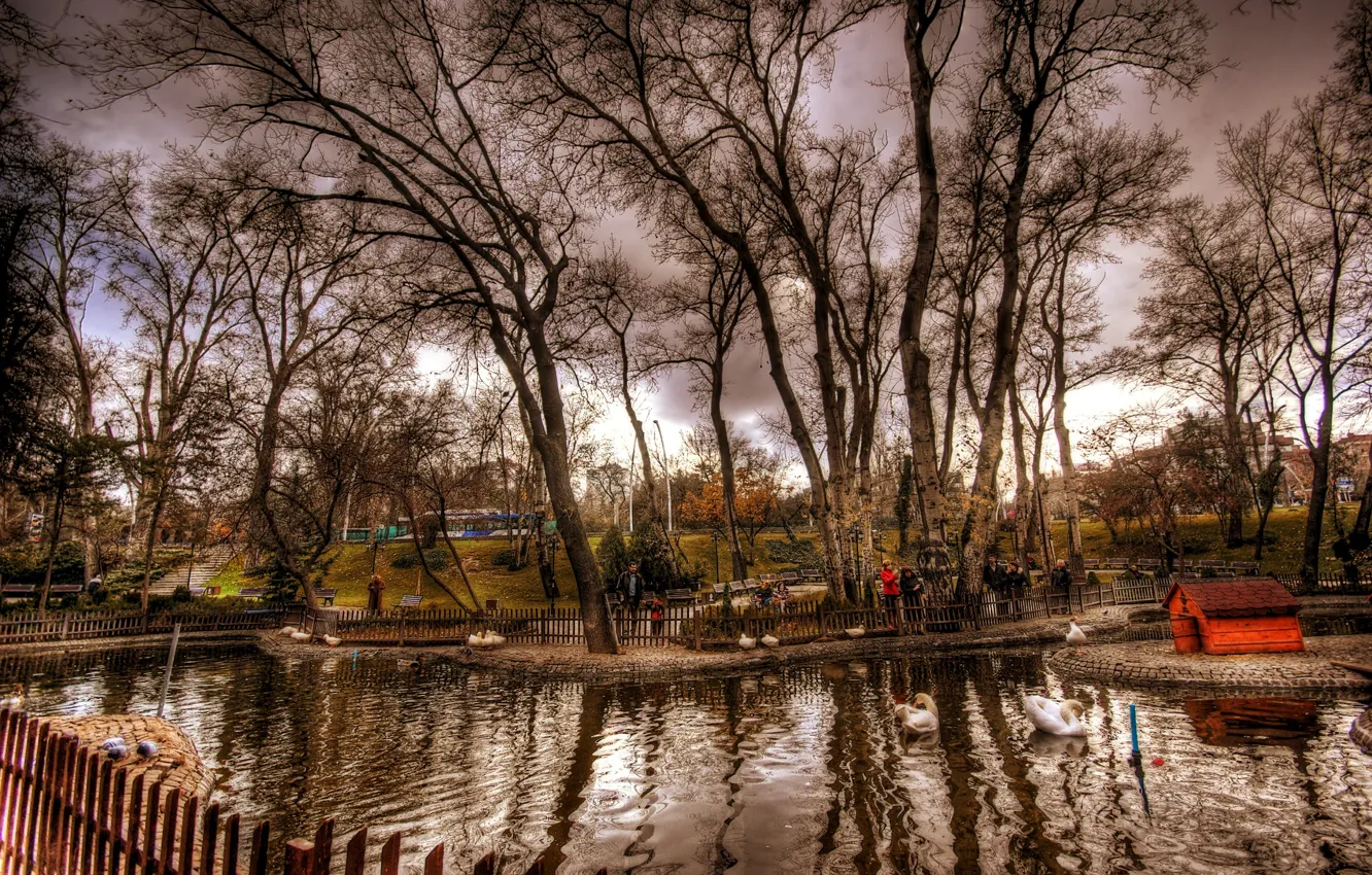 Photo wallpaper autumn, trees, pond, photo, treatment, trees, nature, Istanbul