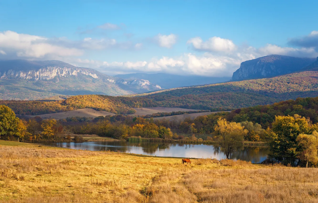 Photo wallpaper field, the sky, mountains, river