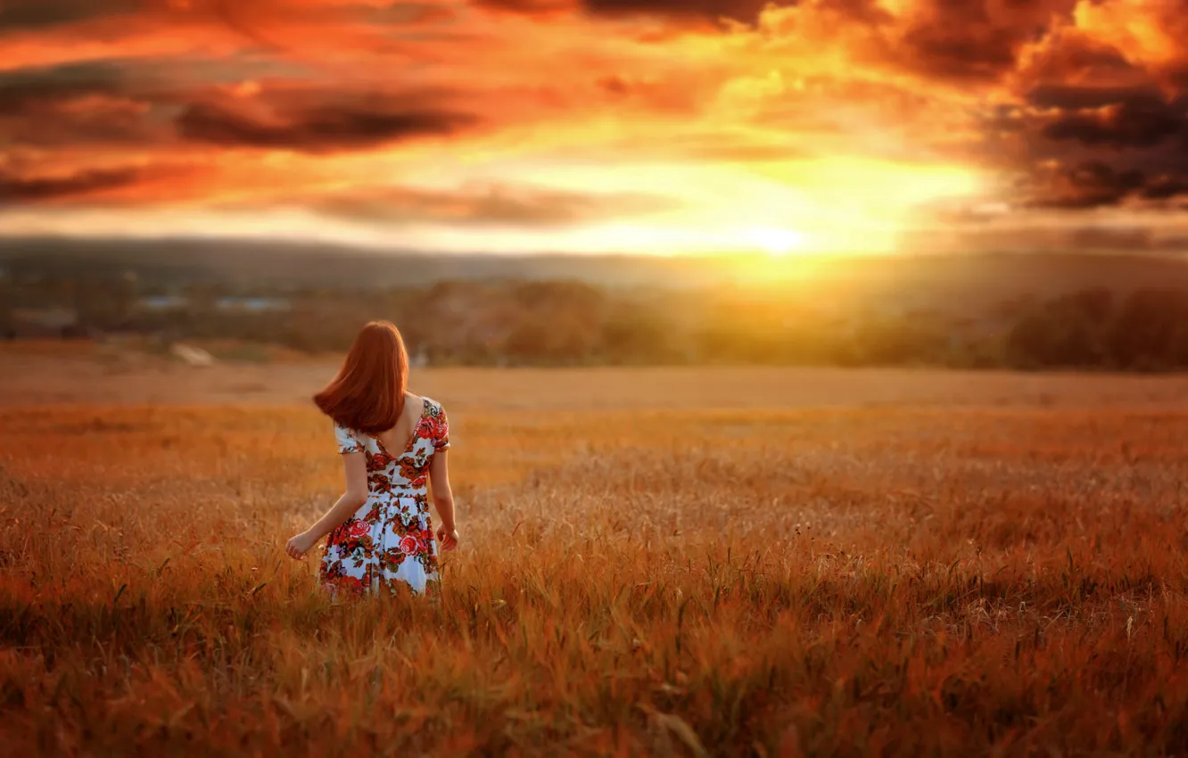Photo wallpaper field, the sky, girl, sunset, nature, pose, photo, back